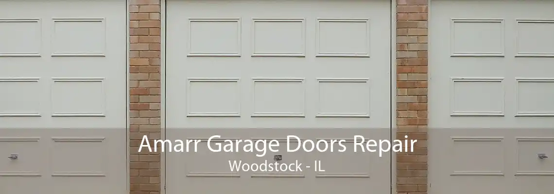 Amarr Garage Doors Repair Woodstock - IL