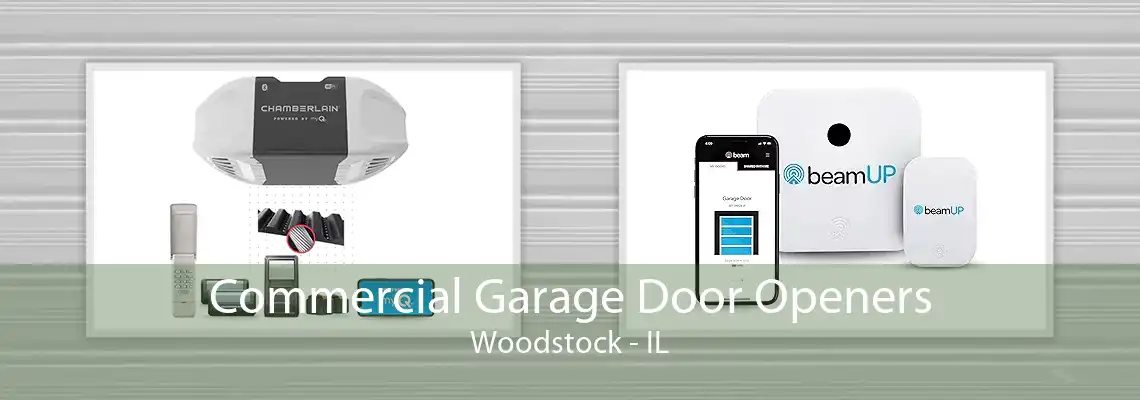 Commercial Garage Door Openers Woodstock - IL