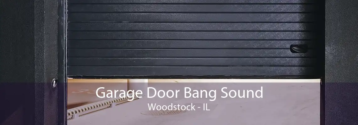 Garage Door Bang Sound Woodstock - IL