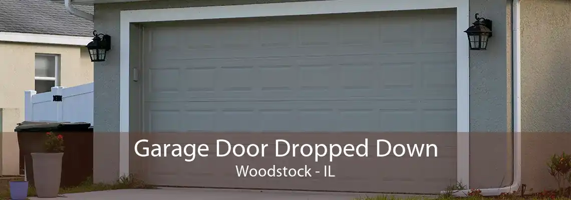 Garage Door Dropped Down Woodstock - IL