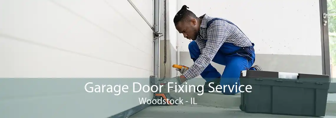 Garage Door Fixing Service Woodstock - IL