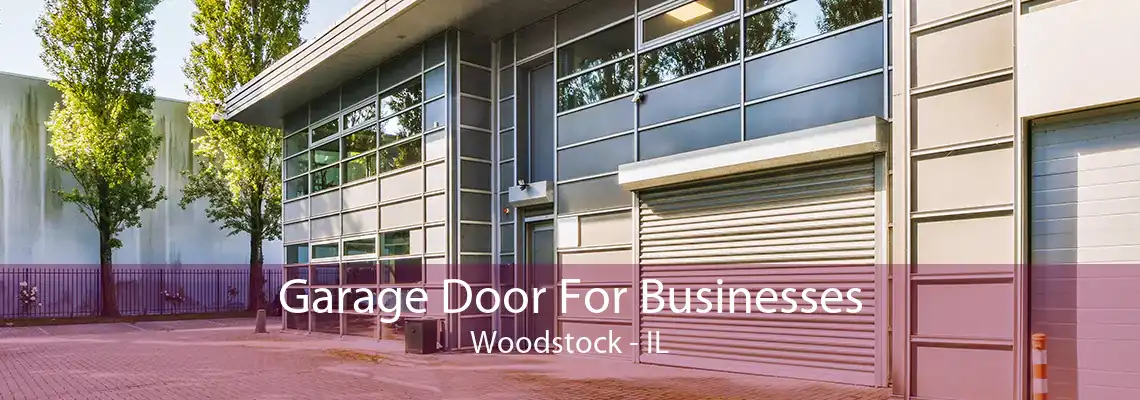 Garage Door For Businesses Woodstock - IL