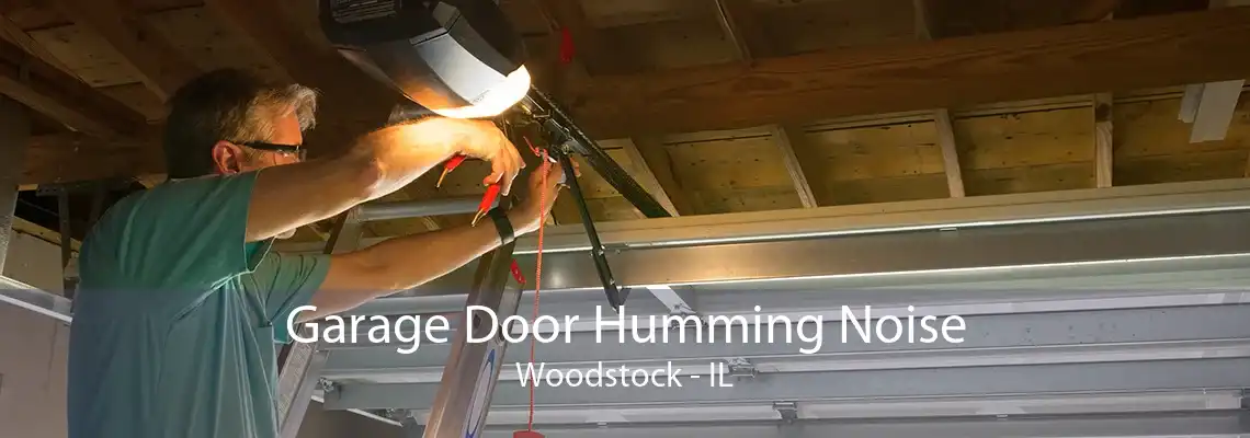 Garage Door Humming Noise Woodstock - IL