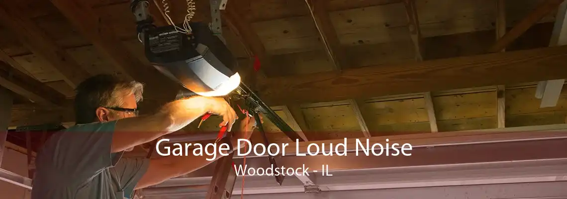 Garage Door Loud Noise Woodstock - IL