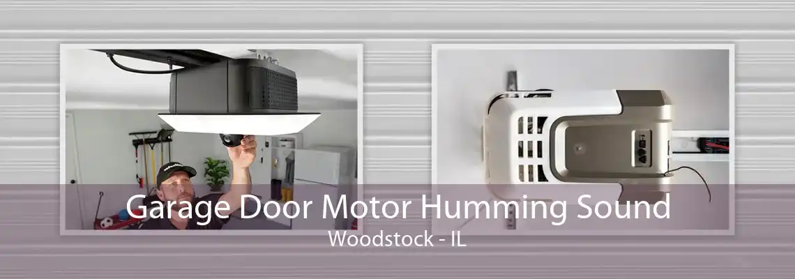 Garage Door Motor Humming Sound Woodstock - IL