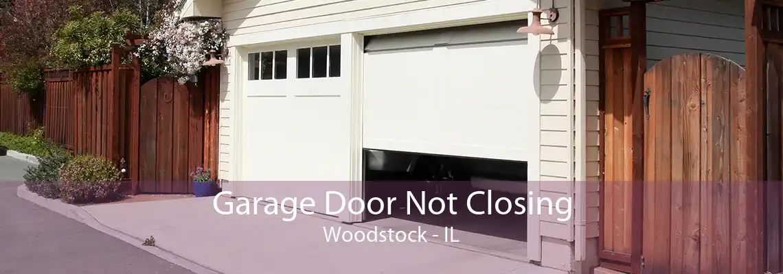 Garage Door Not Closing Woodstock - IL