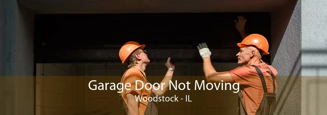 Garage Door Not Moving Woodstock - IL