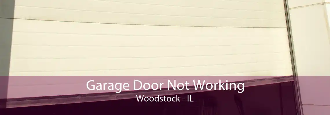 Garage Door Not Working Woodstock - IL