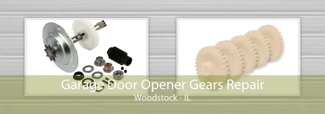 Garage Door Opener Gears Repair Woodstock - IL