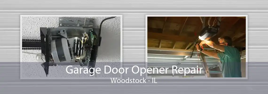 Garage Door Opener Repair Woodstock - IL