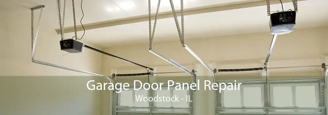 Garage Door Panel Repair Woodstock - IL