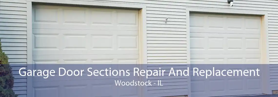 Garage Door Sections Repair And Replacement Woodstock - IL