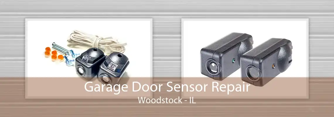 Garage Door Sensor Repair Woodstock - IL