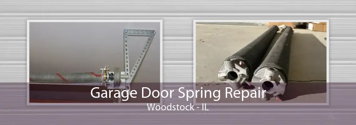 Garage Door Spring Repair Woodstock - IL