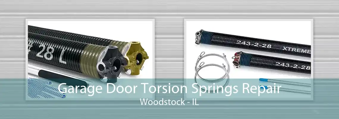 Garage Door Torsion Springs Repair Woodstock - IL