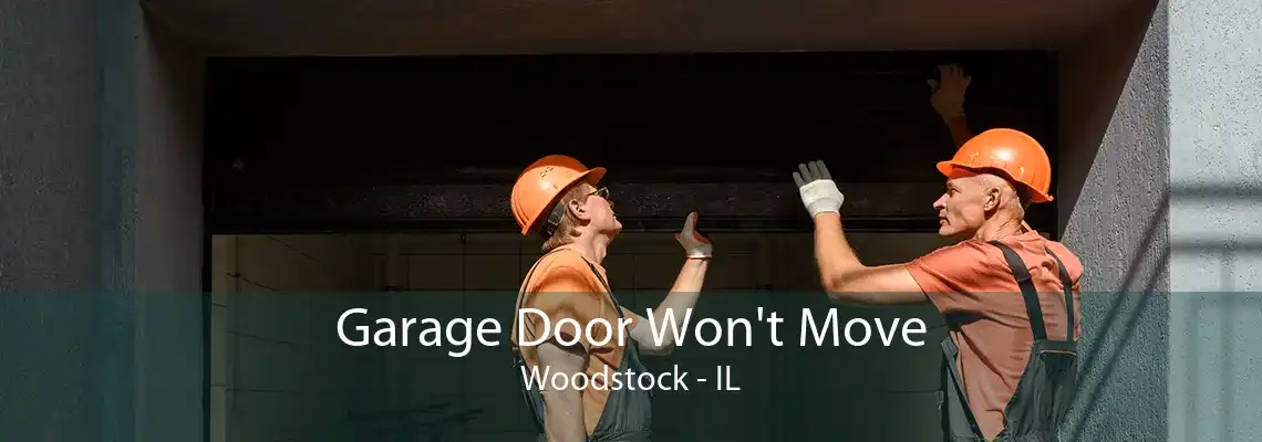 Garage Door Won't Move Woodstock - IL