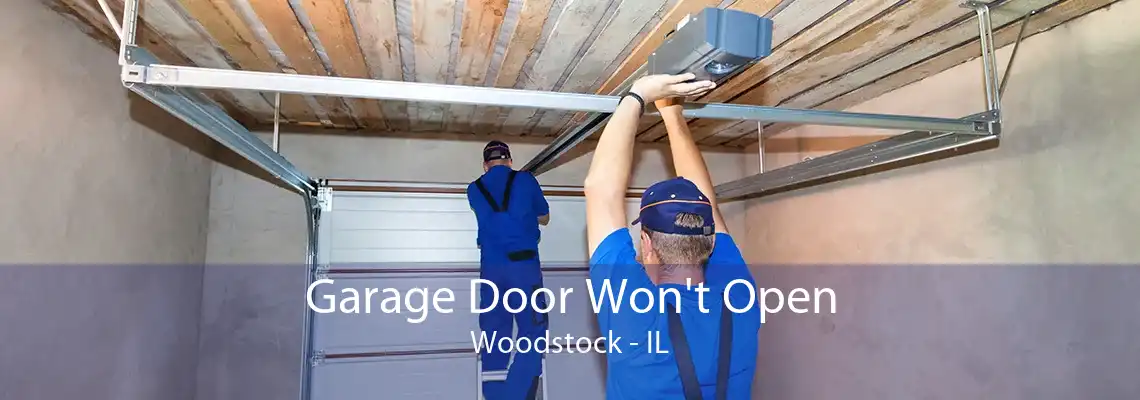 Garage Door Won't Open Woodstock - IL