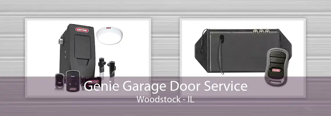 Genie Garage Door Service Woodstock - IL