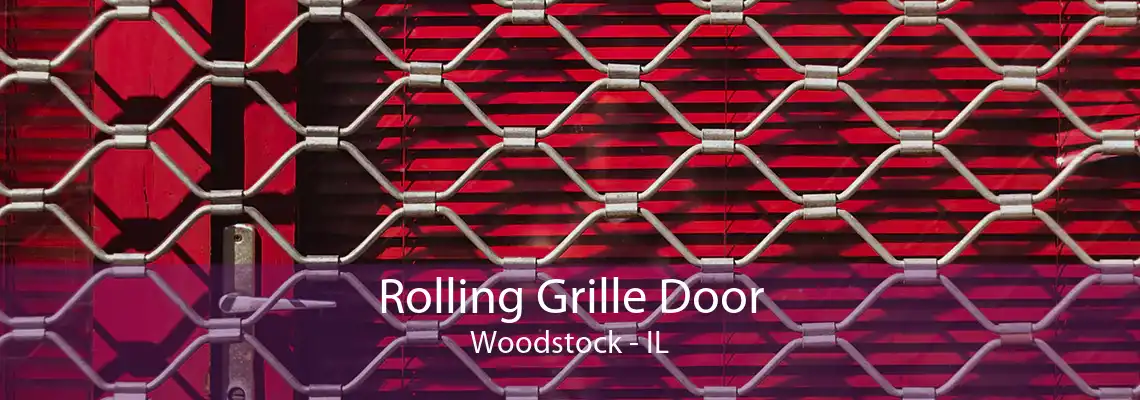 Rolling Grille Door Woodstock - IL